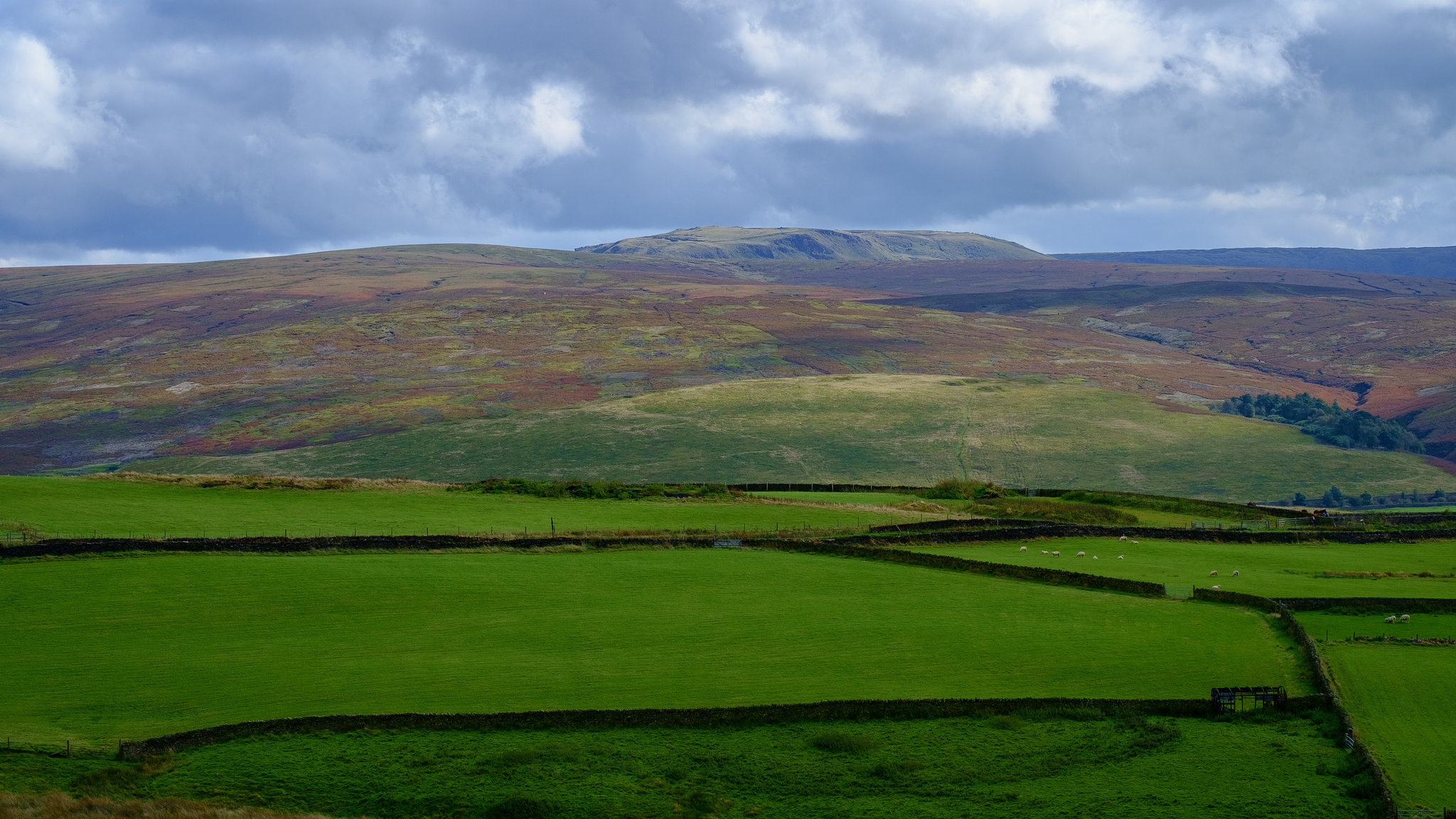 Kinder Scout