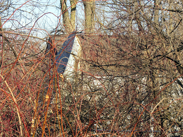 A large satellite dish, hidden from view