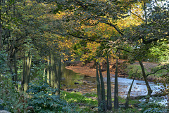 Autumn comes to Uppermill