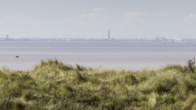 Spurn Warren view W to Grimsby