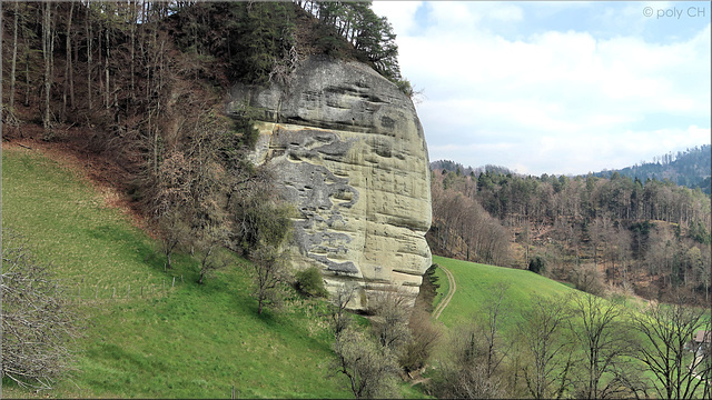 Bonsai Mt. Rushmore, Switzerland  (2 clickable PiPs)