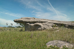 sandstone monster