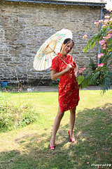 la belle du dimanche la belle du dimanche