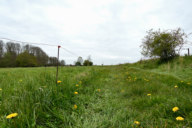 -feldweg-02790-co-06-05-17