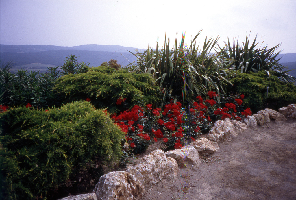 Garten in Èze hoch über der Côte d'Azur