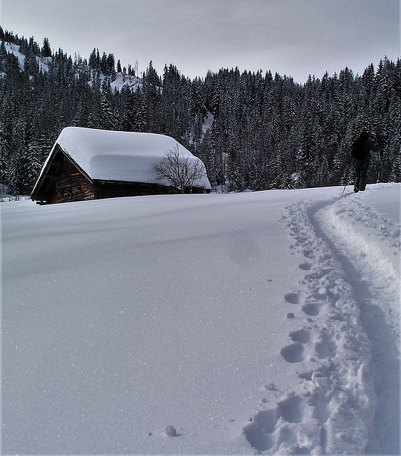 Lauenen Bernese Oberland