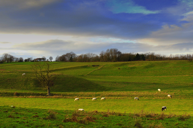 Fence    slope valley