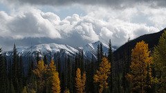 Kootenay national Park