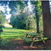 Garden benches in beginning winter - HBM