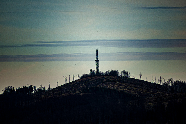 20240318_benneckenstein spaziergang (d200)