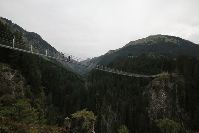 Holzgauer Hängebrücke