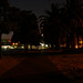 Perth Esplanade At Night