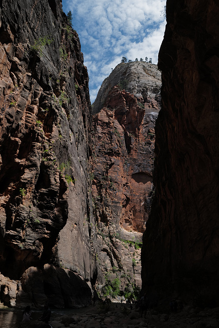 Zion Nat Park, The Narrows