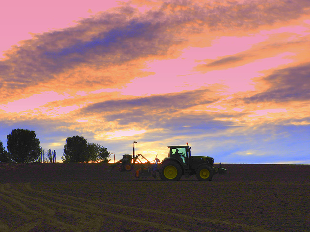 Farmer after Protest