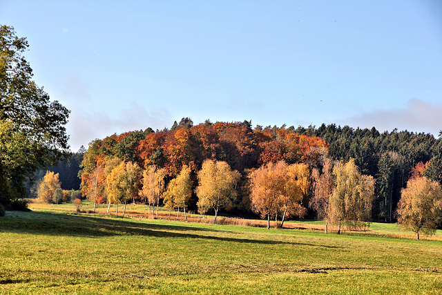 Goldener Oktober