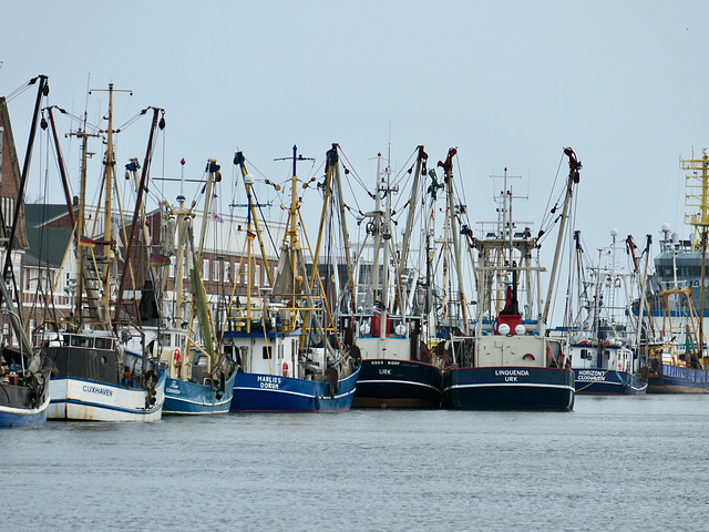 Fischkutter im Hafen
