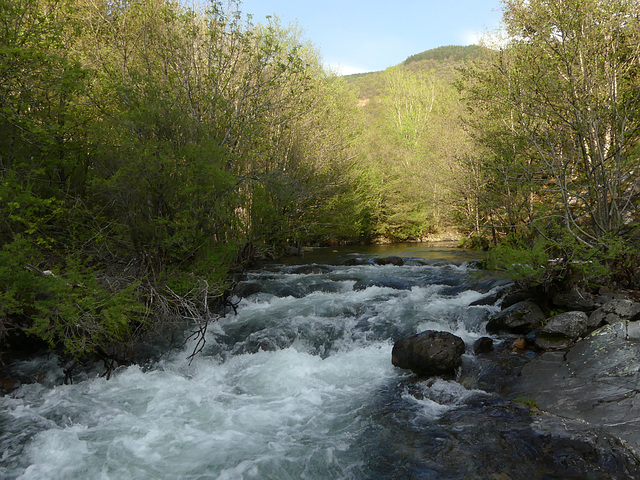 20220501 Rando Le Tayrac (Cevennes) (151)