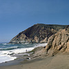 Grey Whale Cove