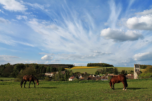 ruralité