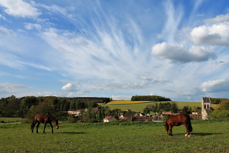 ruralité