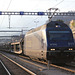 BÖ0033736