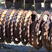 Rusted Farm Equipment - Law's Railroad Museum
