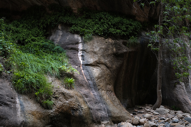 Zion Nat Park, The Narrows L1010666