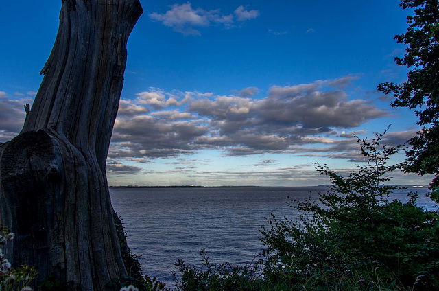Cloudscape 4