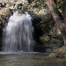 Kondalilla Falls National Park