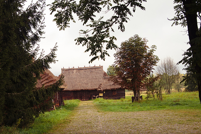 Białowieża