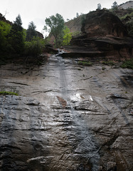 Zion Nat Park, The Narrows L1010665