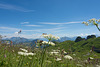 auf dem Rochers-de-Naye ... P.i.P. (© Buelipix)