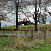 Tractor On A Hill.