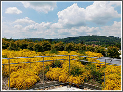 Vue depuis le toit du centre international pariétal (Lascaux 4) (24)