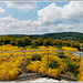 Vue depuis le toit du centre international pariétal (Lascaux 4) (24)