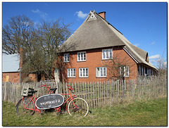 Cafe "Wildwuchs" Cafe "Wildwuchs"