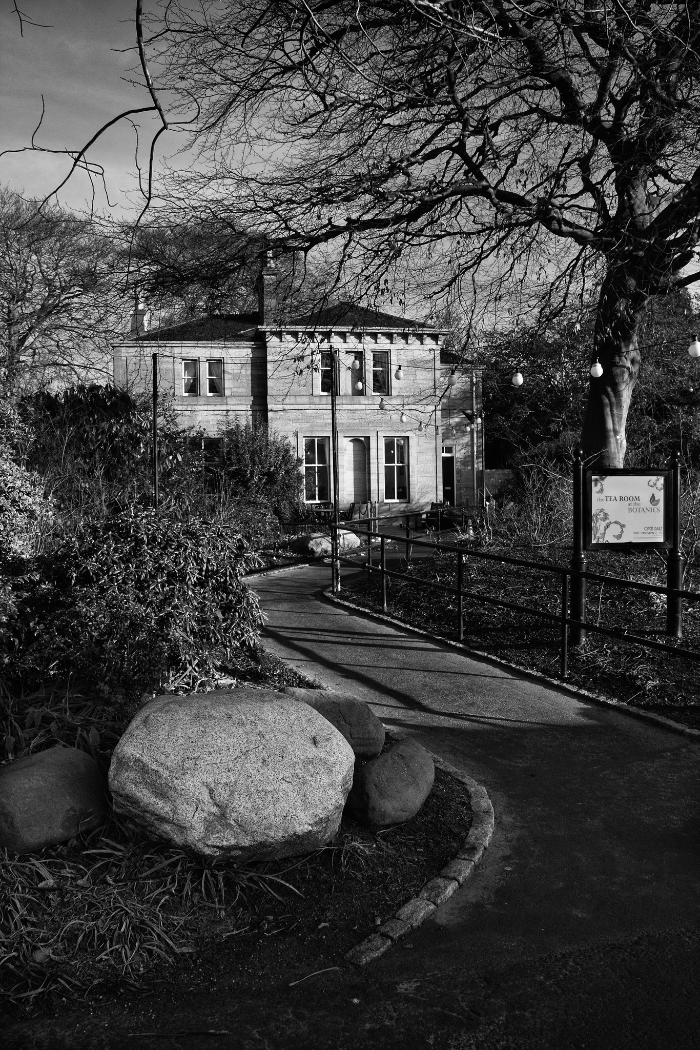 Tearoom at the Botanics