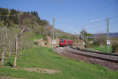 BÖ0036867