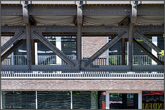 U-Bahngleis über dem Baumwall