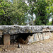 Livernon  -  Dolmen de la Pierre Martine