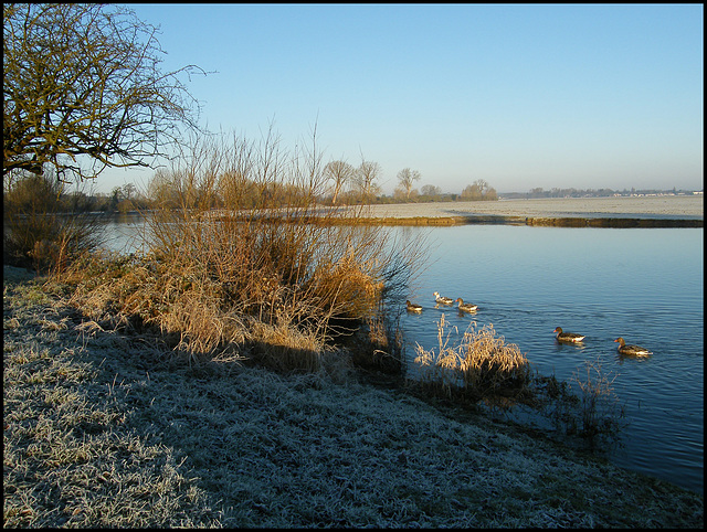 the river in winter