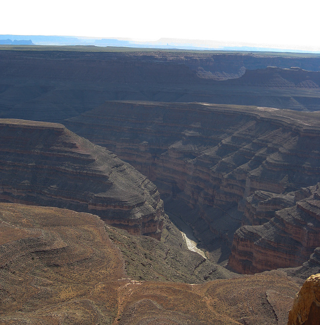 San Juan River UT environment (#242)