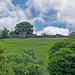 Perevil castle in Castleton, Derbyshire