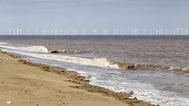 Spurn Warren view E to wind farm