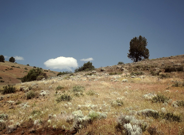 Cloud in a corner