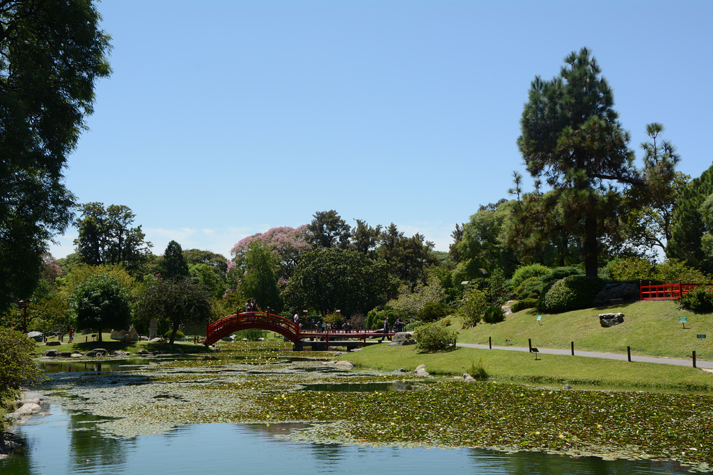 In the Japanese Garden of Buenos Aires