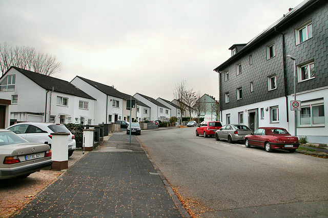 Auf den Scheffeln (Bochum-Werne) / 20.11.2018