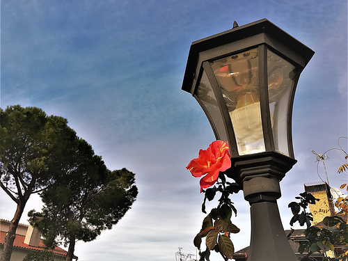 Above the gate