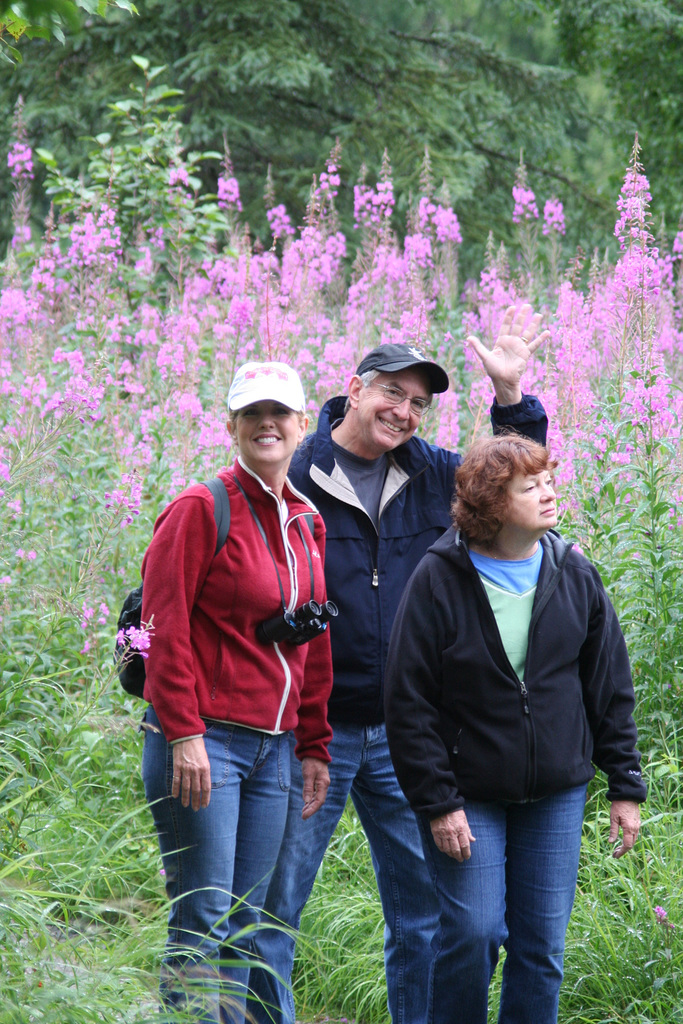 Come tiptoe through the fireweed with me.