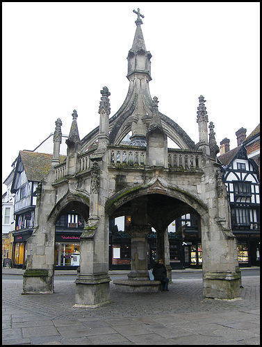 Poultry Cross